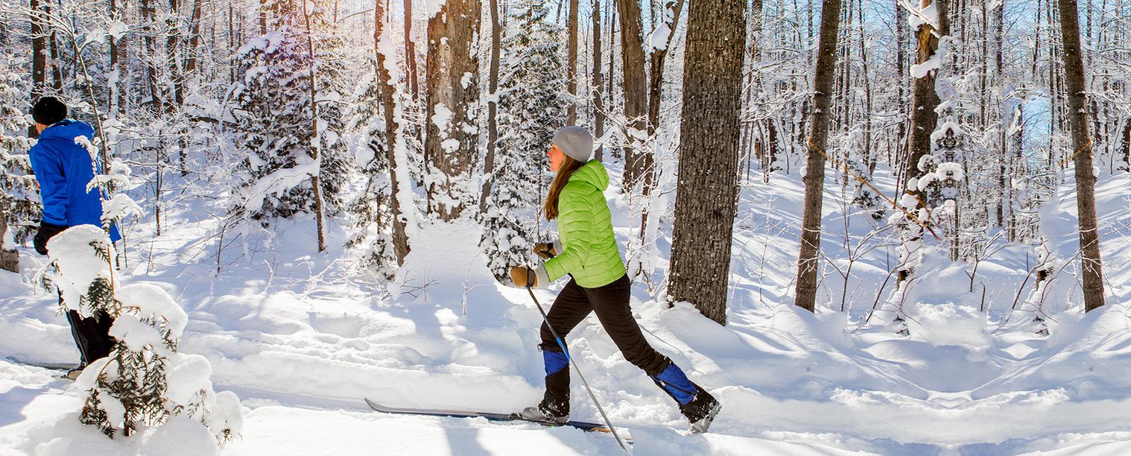 Couple cross country skiing on trails on state park land
