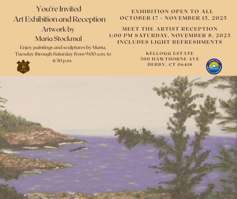 Folleto de la exposición "Presentando Tapices" que tiene una imagen de la costa a la izquierda y un cuerpo de agua con un árbol en primer plano a la derecha.