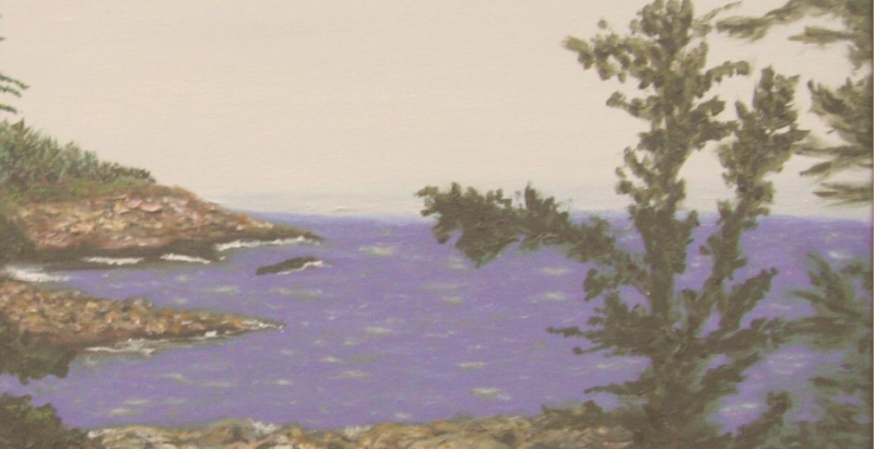 Imagen de un árbol en primer plano con un cuerpo de agua y una costa.