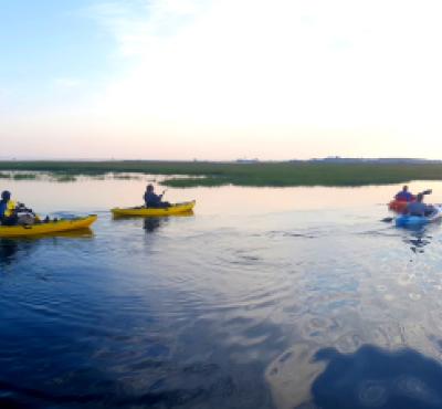 Group kayaking trip along the Connecticut shoreline