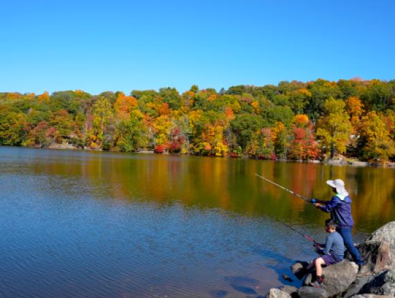 Father and son fishing along Squantz Pond in New Fairfield