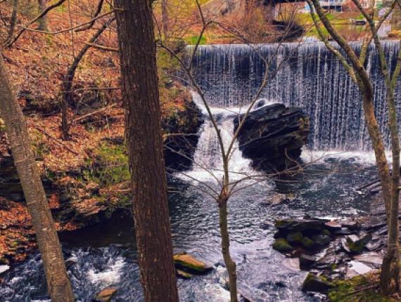 A waterfall in the woods near a bridge (Instagram@deppinlove)
