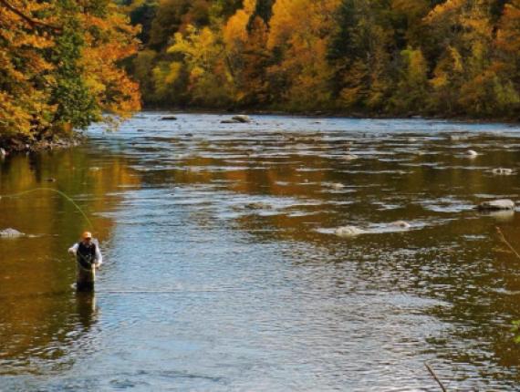 A man flyfishing in a river in the fall (Instagram@globetrotterscommunity)