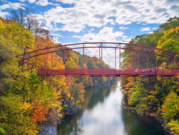A beautiful fall view of a bridge over a river (CTVisit)