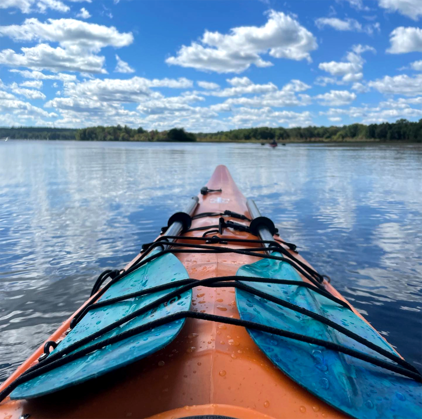 Gardner Lake State Park Connecticut State Parks and Forests