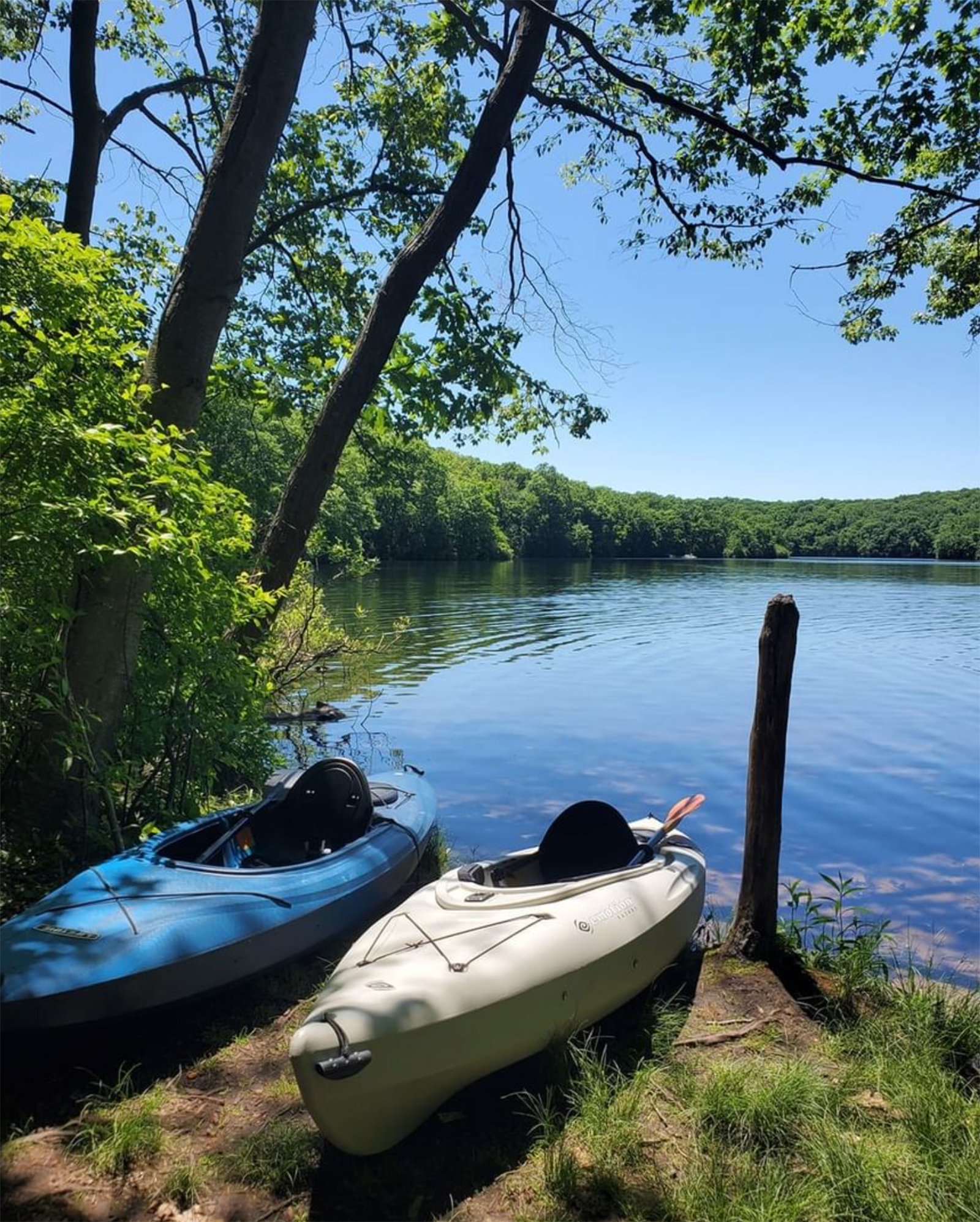 Millers Pond State Park | Connecticut State Parks and Forests