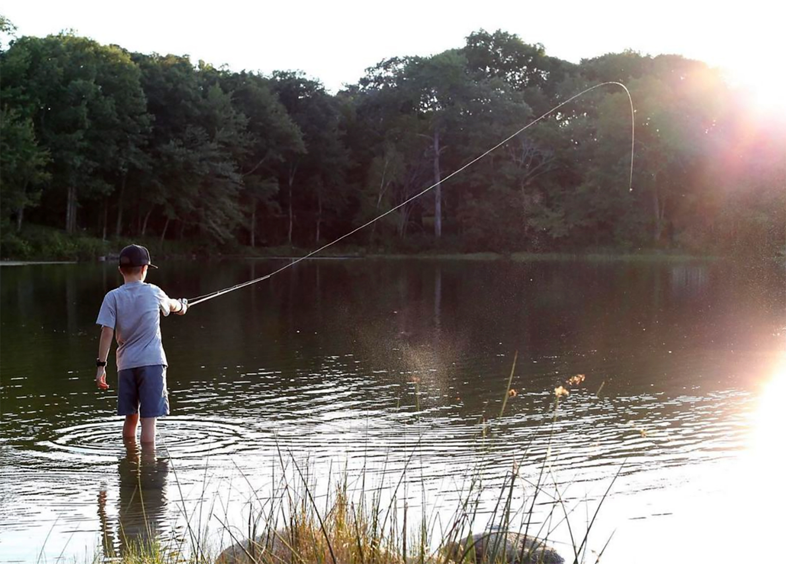 Mount Tom State Park Connecticut State Parks and Forests