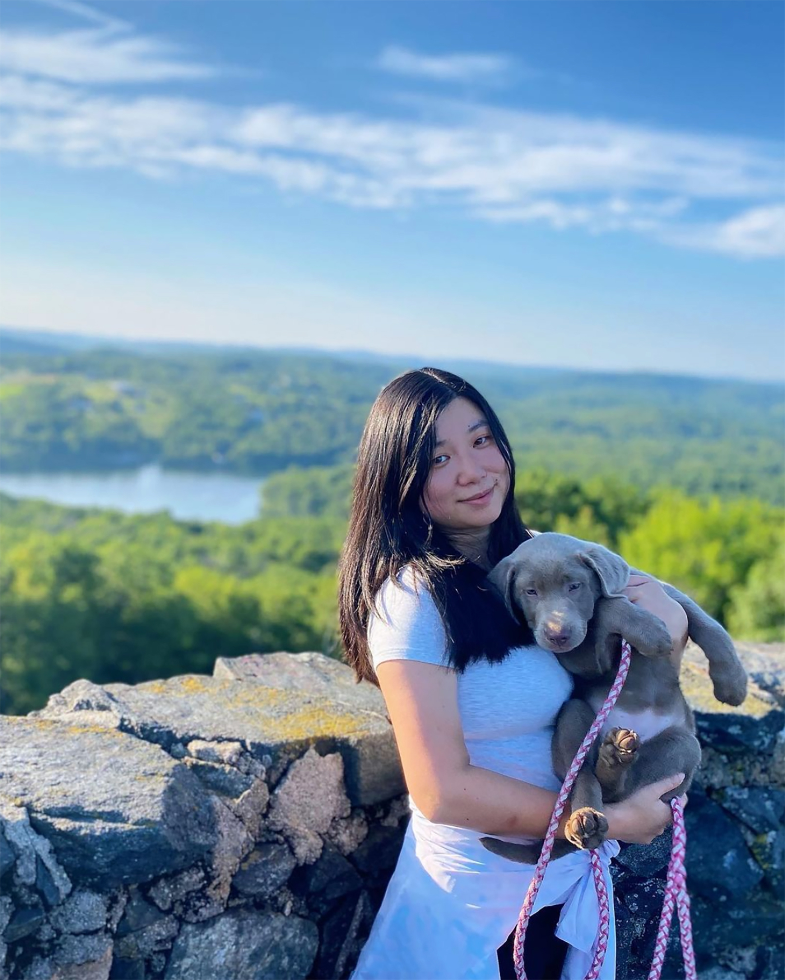 Mount Tom State Park Connecticut State Parks and Forests