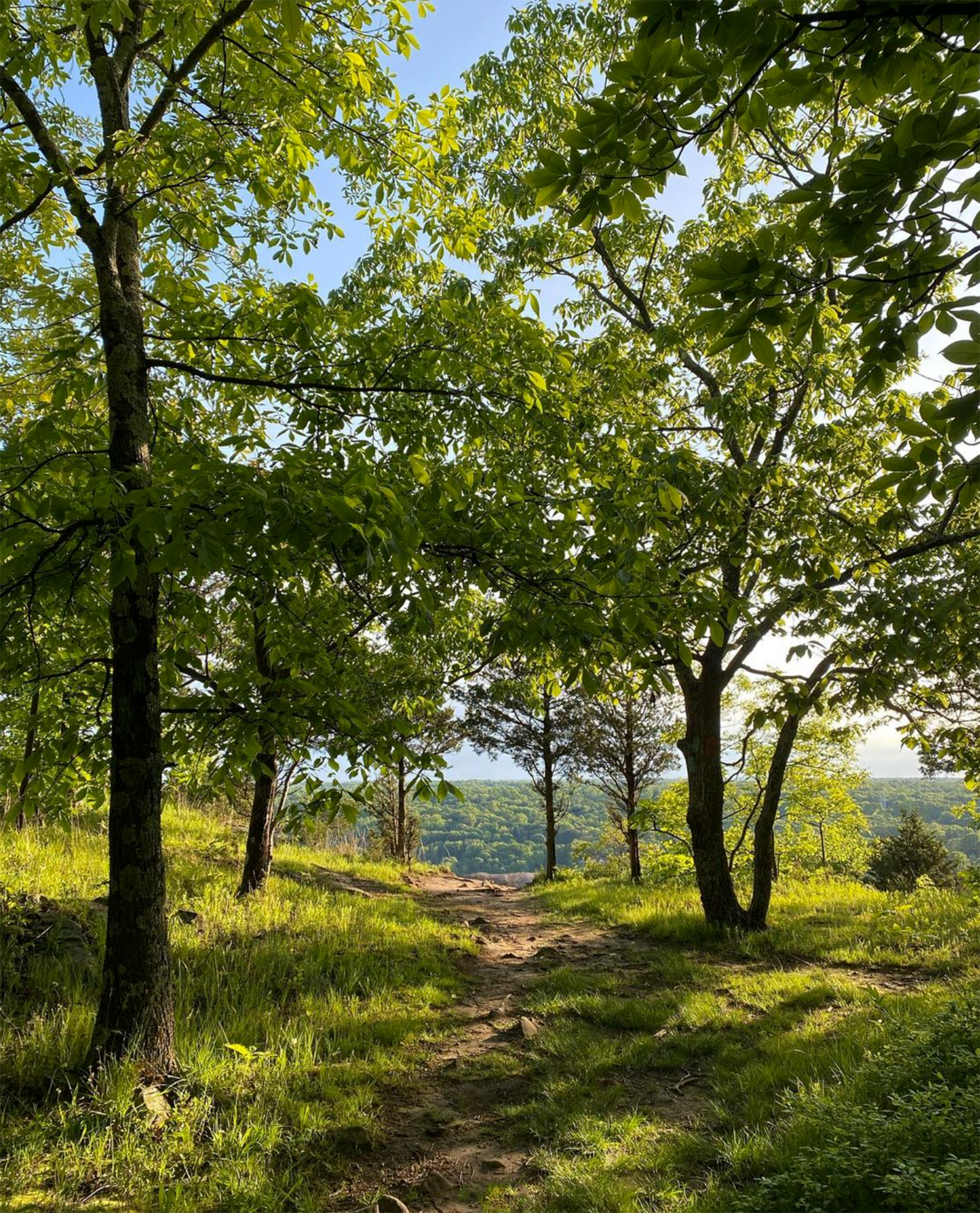 West Rock Ridge State Park | Connecticut State Parks and Forests
