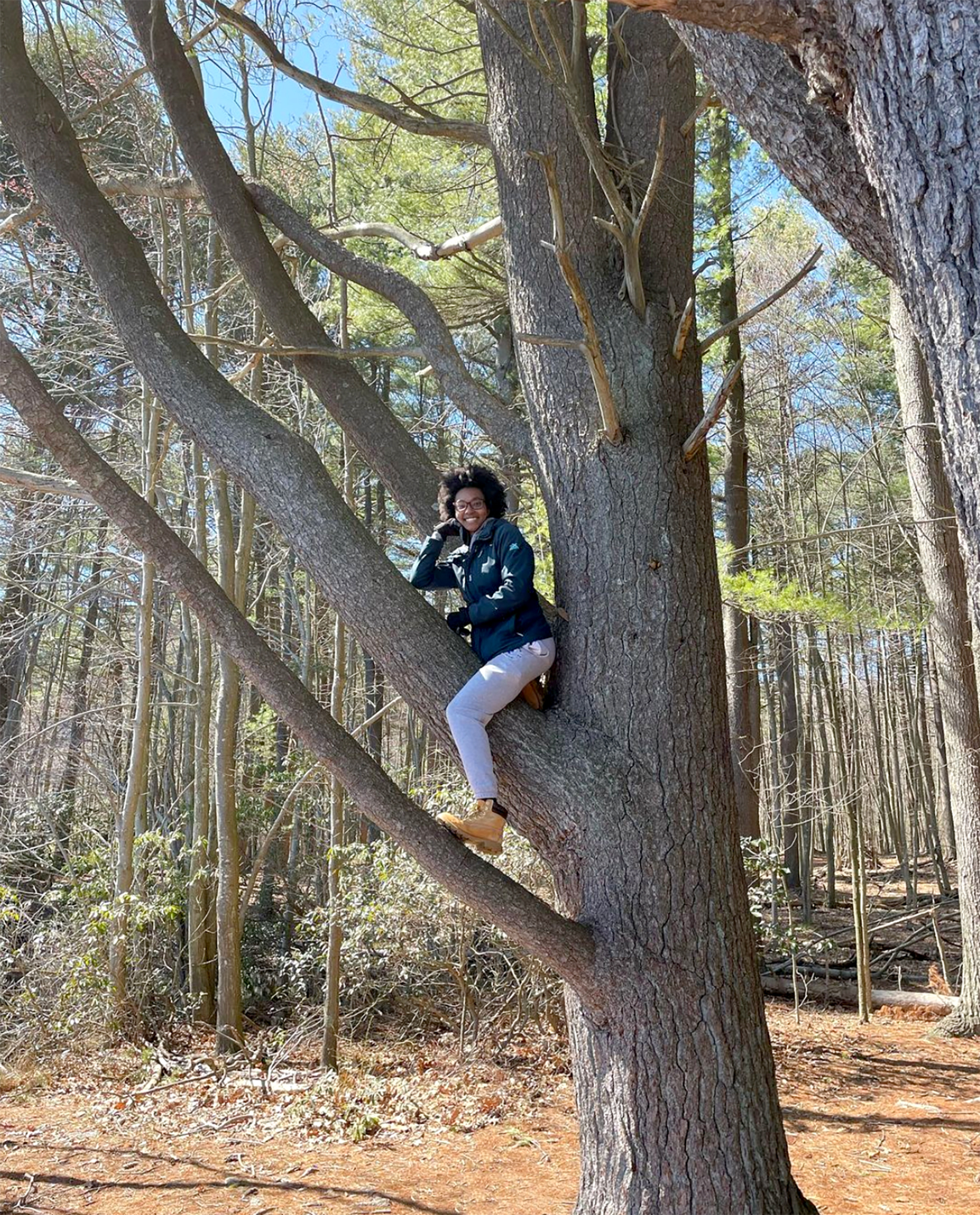 West Rock Ridge State Park | Connecticut State Parks and Forests