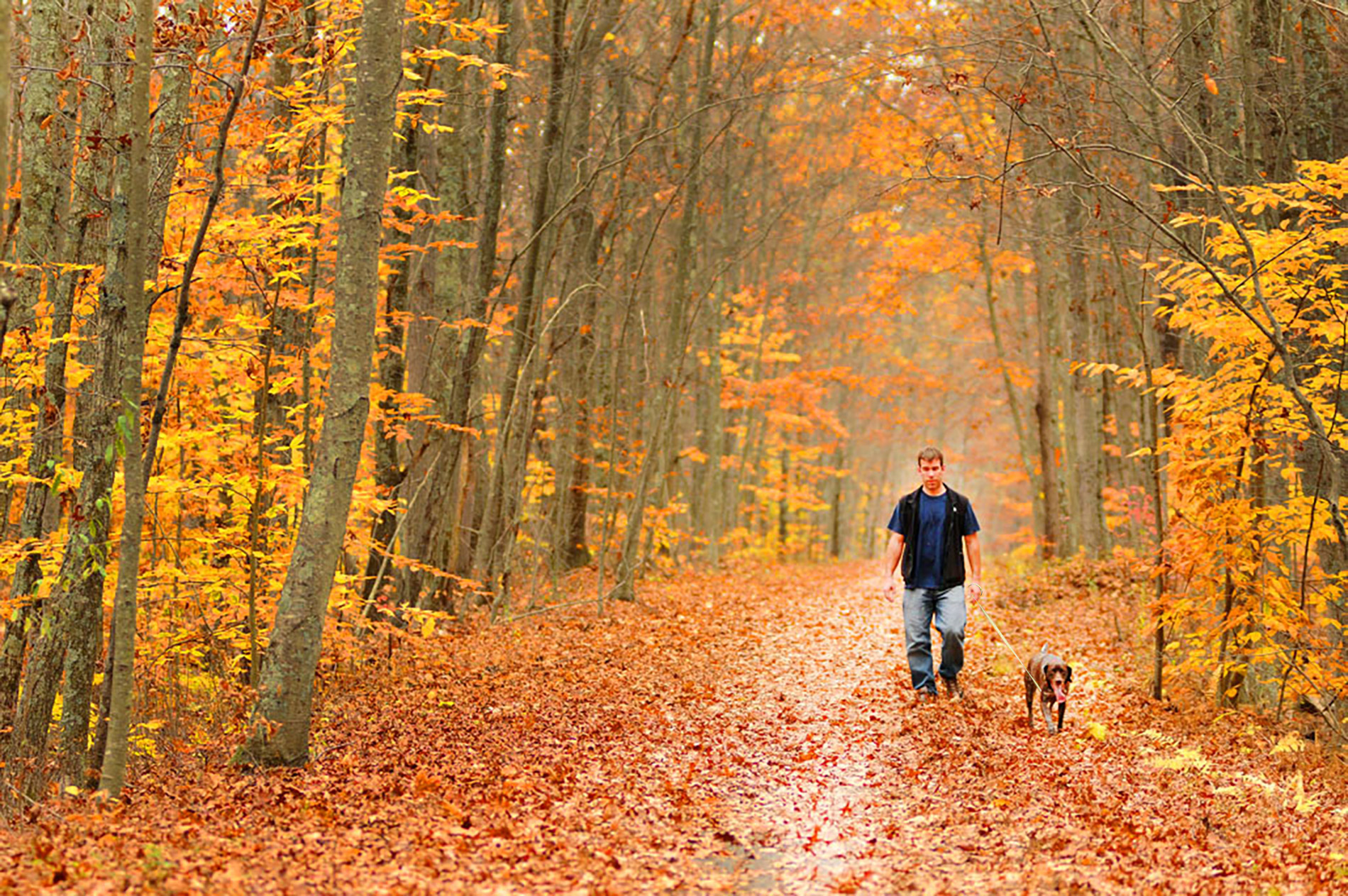 2024-stl-hiking-challenge-connecticut-state-parks-and-forests
