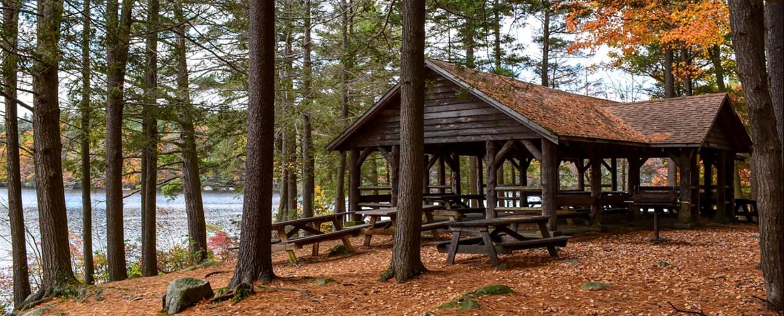 Refugio para picnic a través del bosque en el Parque Estatal Burr Pond en otoño (Instagram@nelson-grenier-photography)