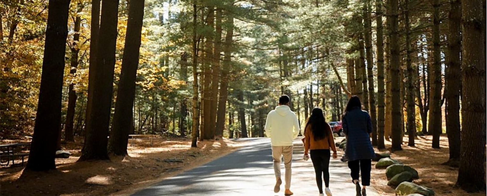 Friends walking through shadowed treeline at Chatfield Hollow State Park (Instagram@meghanajaladanki)