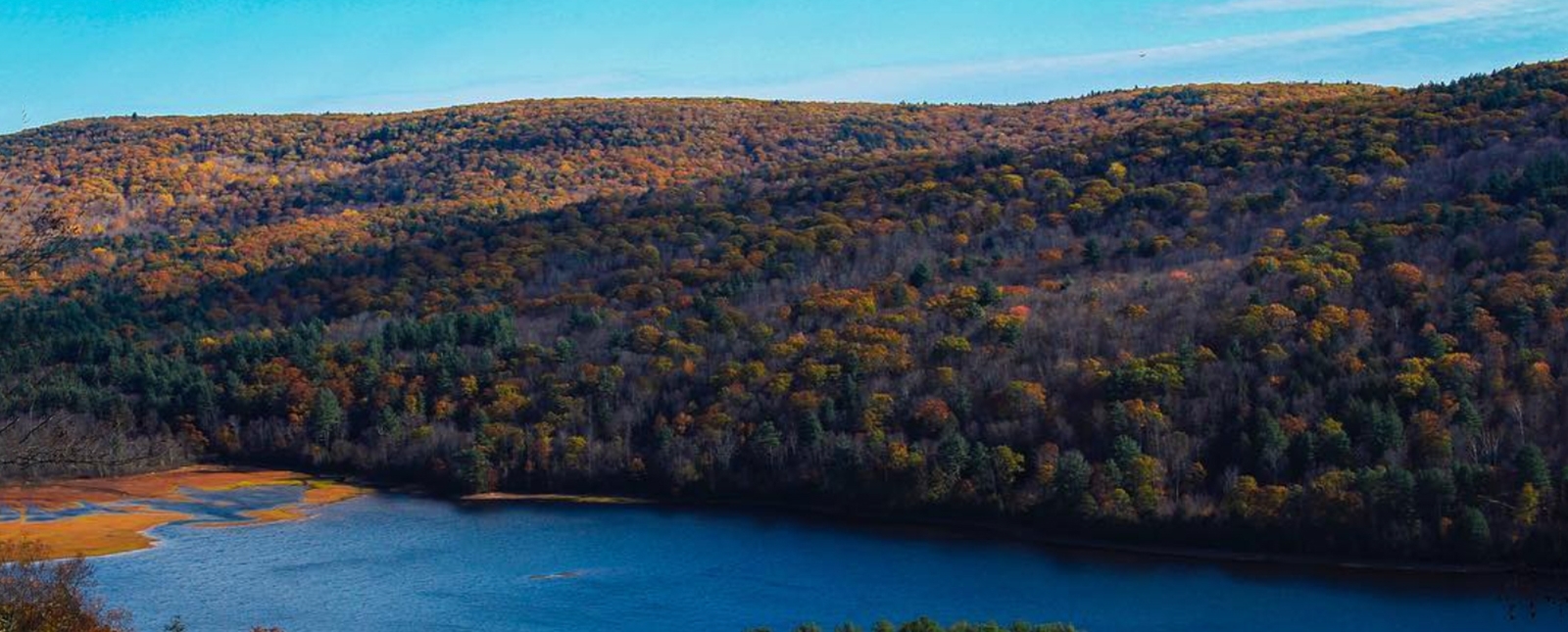 Vista shot of American Legion State Forest (Instagram@balancedsociopath)