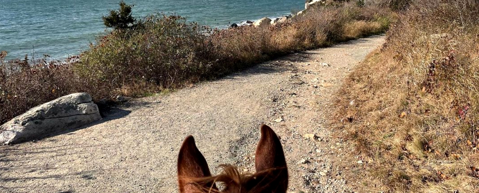 Horseback riding along Bluff Point State Park (Instagram@sfstearns)