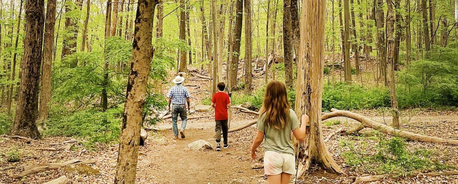 Una caminata familiar por el bosque (Instagram@justine_hoagland)