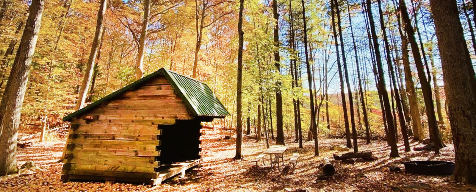 A shelter in the woods (Instagram@ilovemoo)