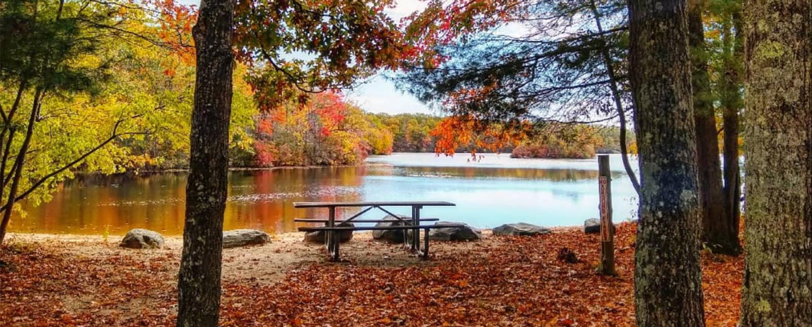 A campsite near a lake in the fall (Instagram@agollieno)