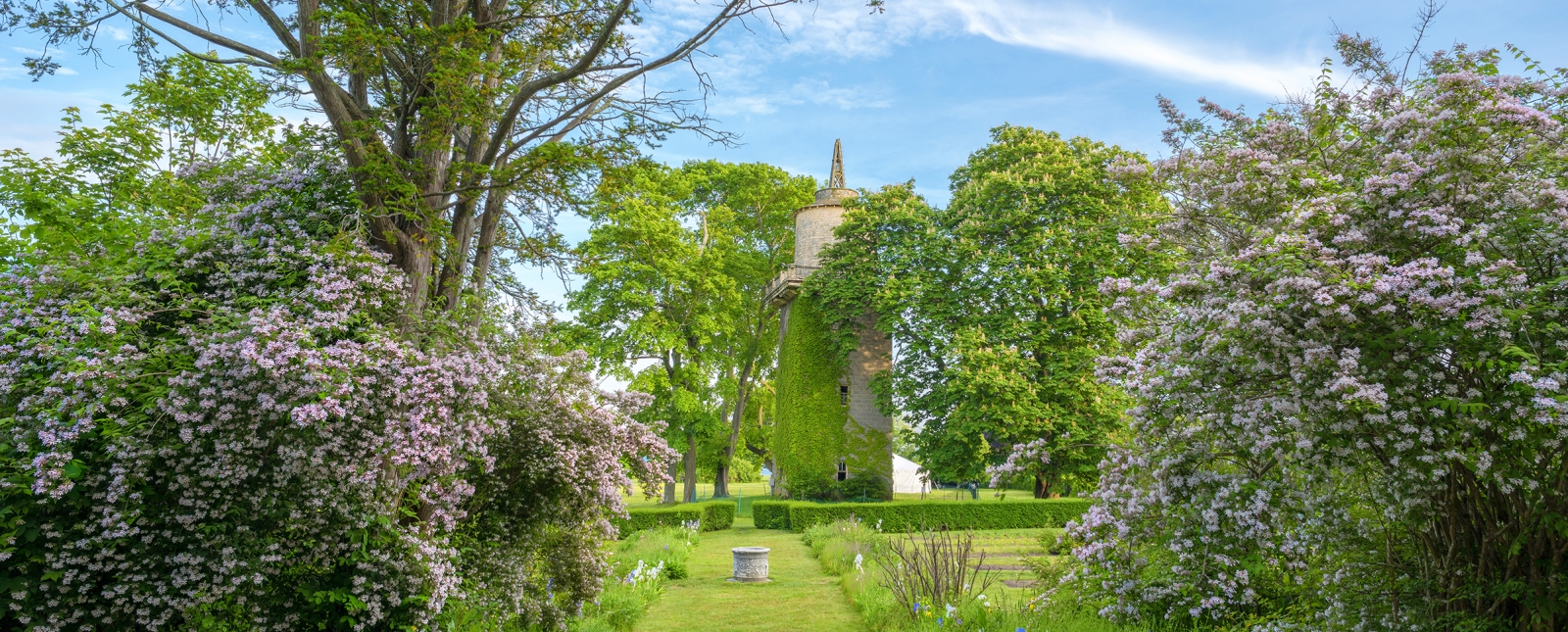 Harkness Memorial Park tower in full bloom