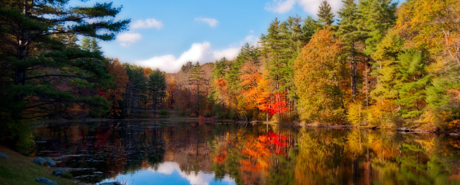 A pretty scene of water reflecting fall trees and sky (Flickr)