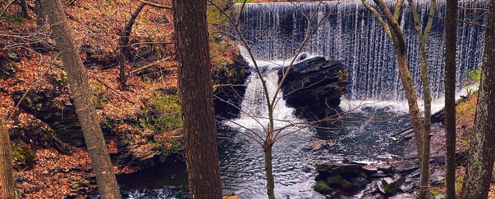 Una cascada en el bosque cerca de un puente (Instagram@deppinlove)