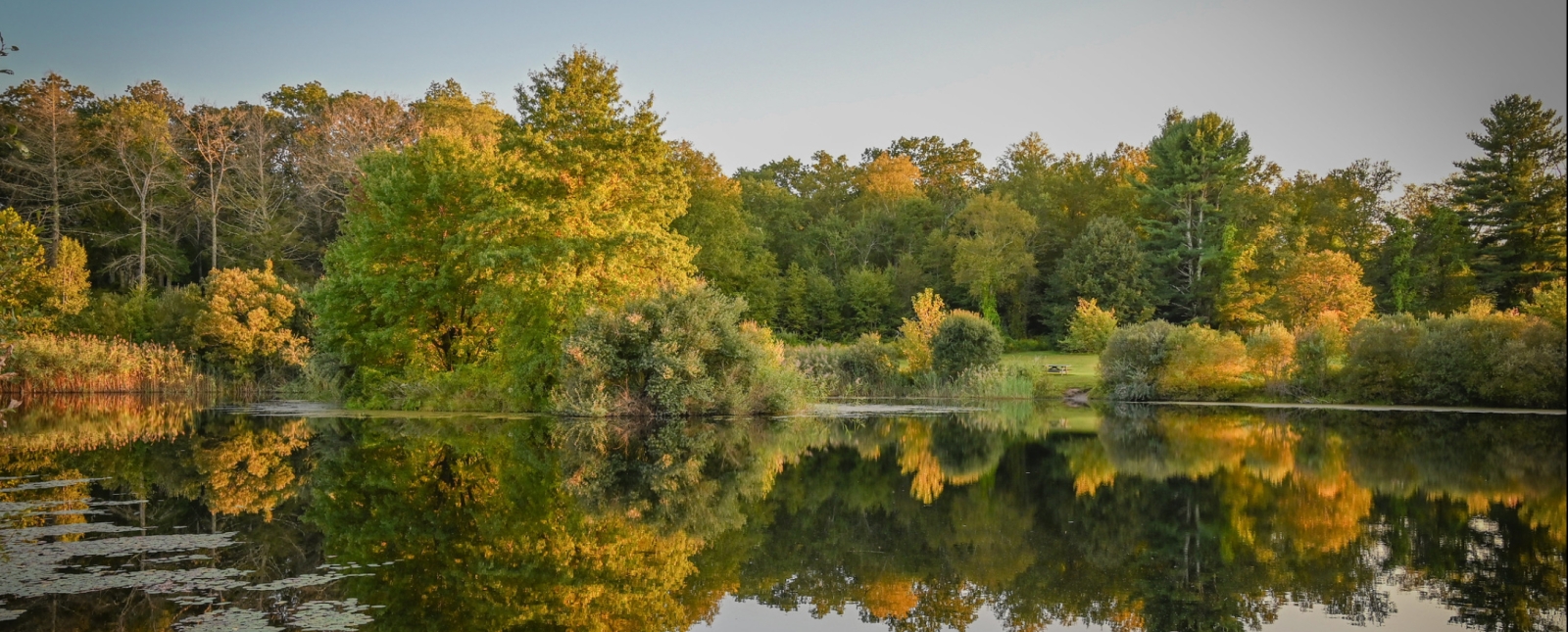 Still water reflecting fall trees and sky (Flickr@EllenF)