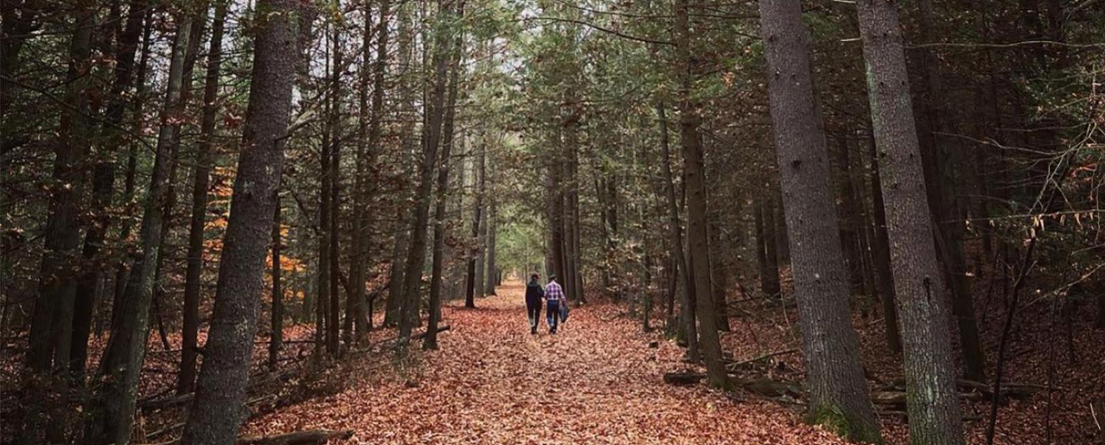 Dos personas caminando por un sendero en Stratton Brook (Instagram@febnaba)