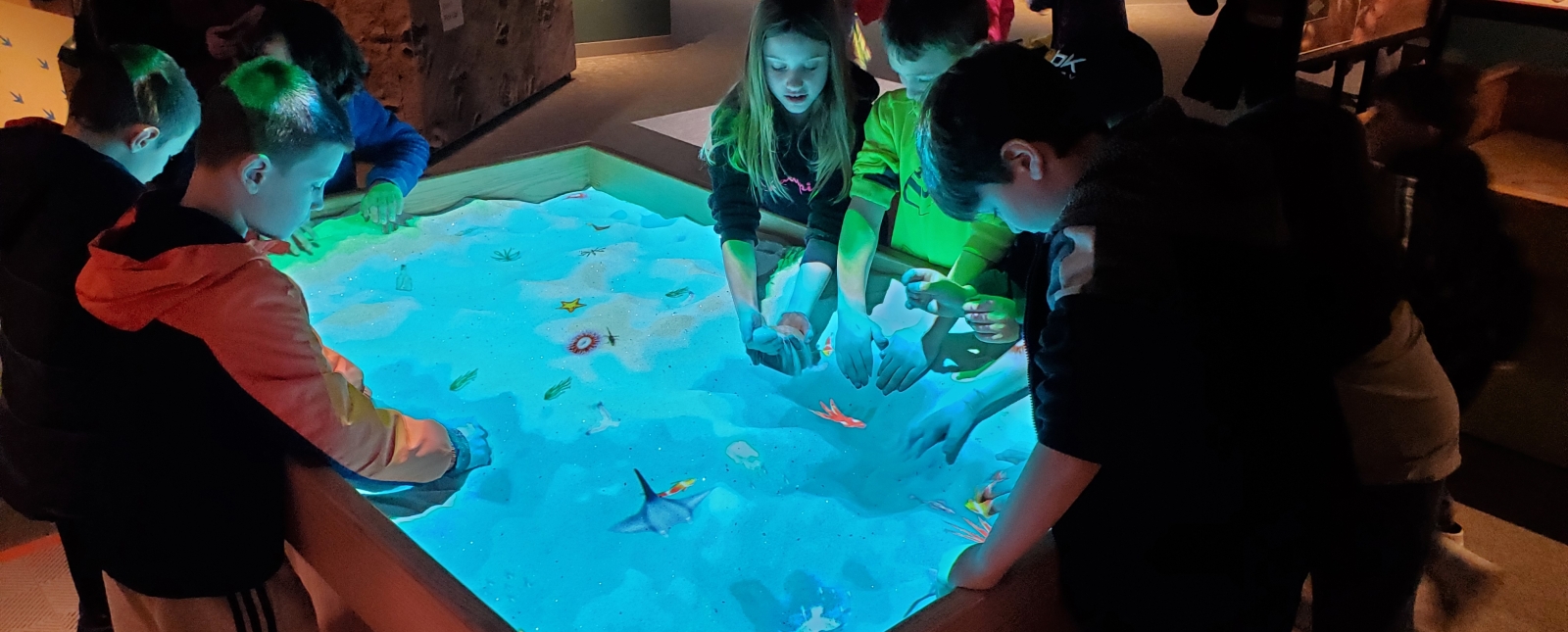 Kids playing with dinosaur display lit up