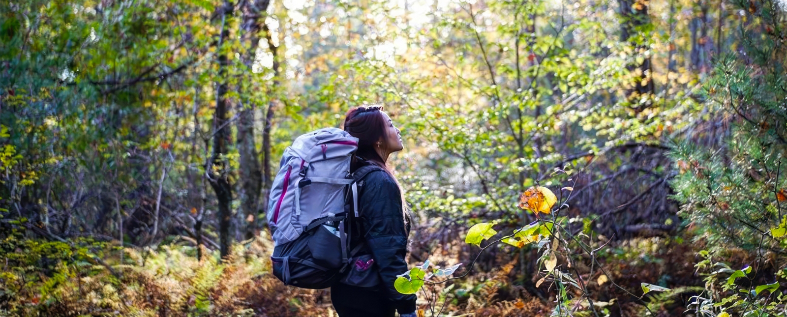 Mujer caminando por los bosques del bosque estatal de Pachaug (Instagram@reagencydigital)