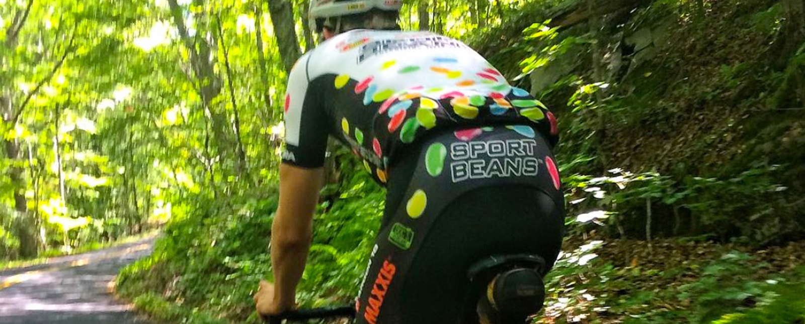 A man on a bike cruising along a wooded road surrounded by green trees.