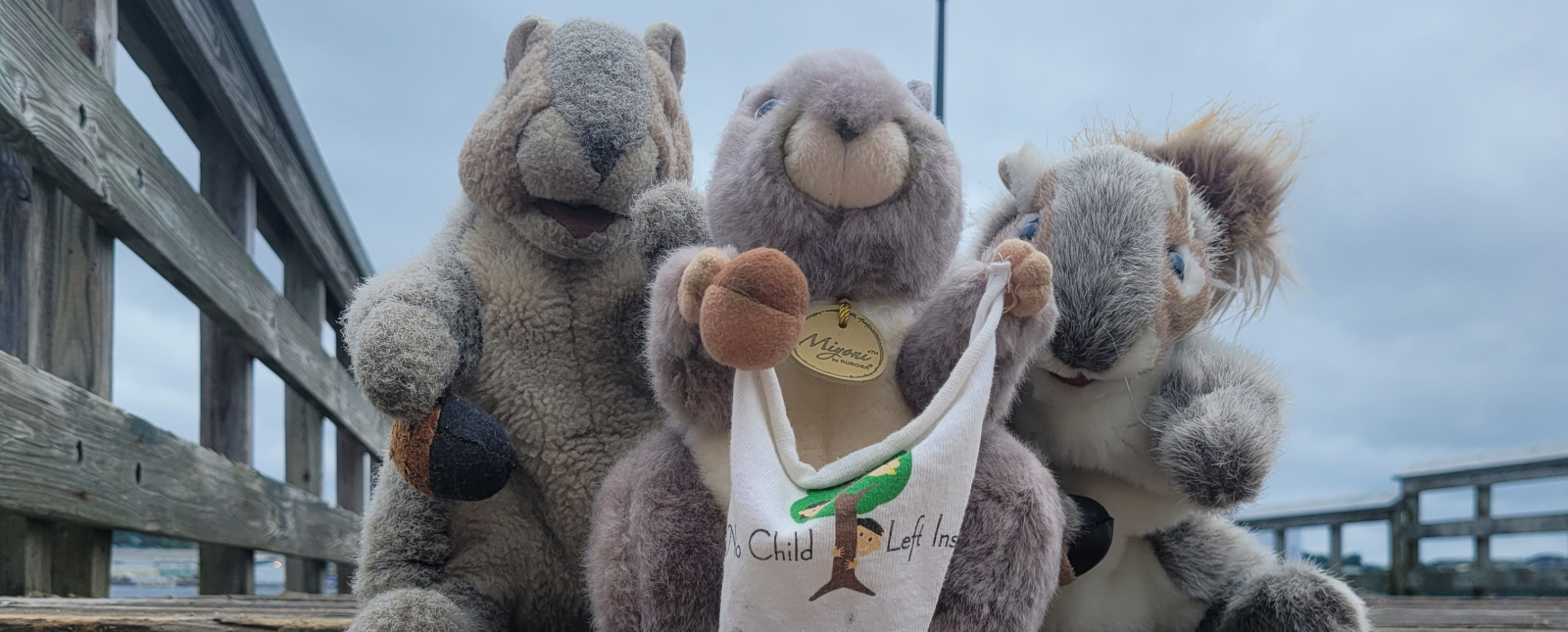 NCLI mascot toy squirrels holding NCLI logo banner