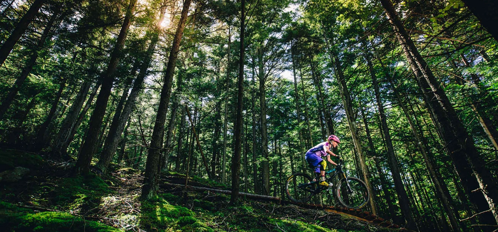 Hombre en bicicleta de montaña a través de bosques en el parque estatal