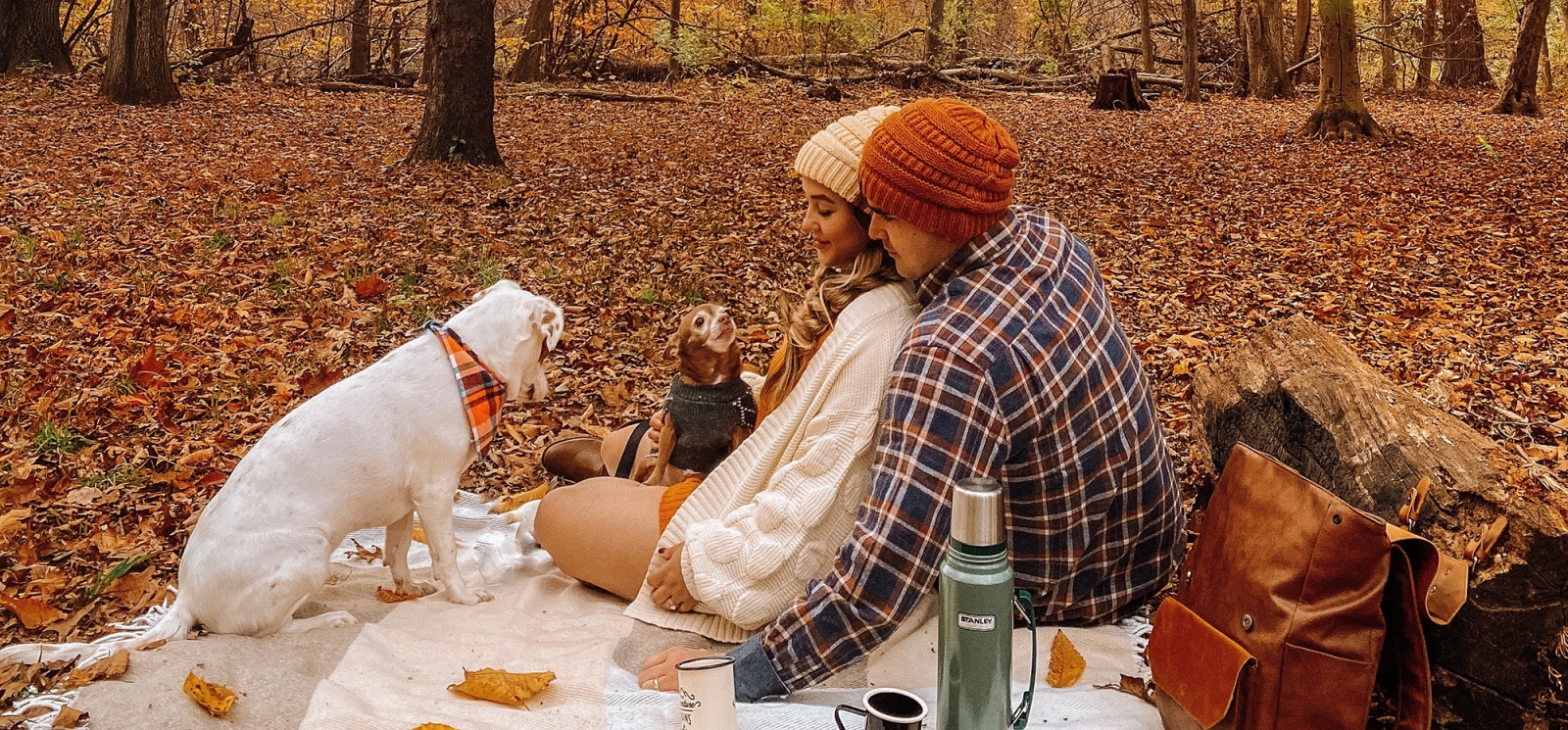 Couple picnicking in state park with two dogs