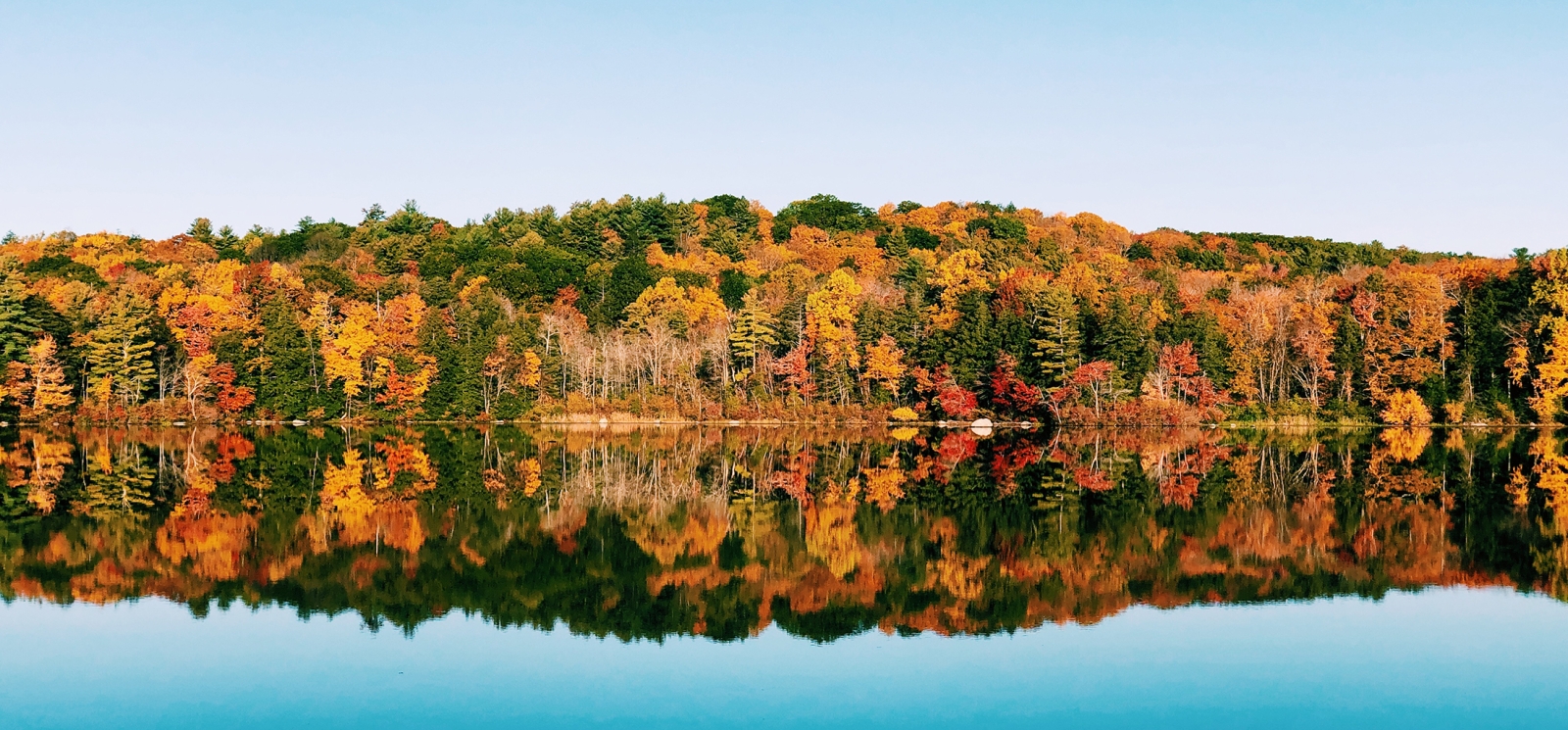 Fall view of foliage at Burr Pond State Park