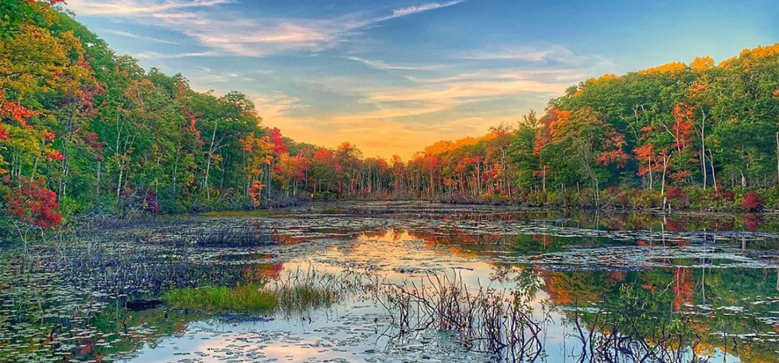 Agua que refleja árboles de otoño y cielo (Instagram@marklark13)