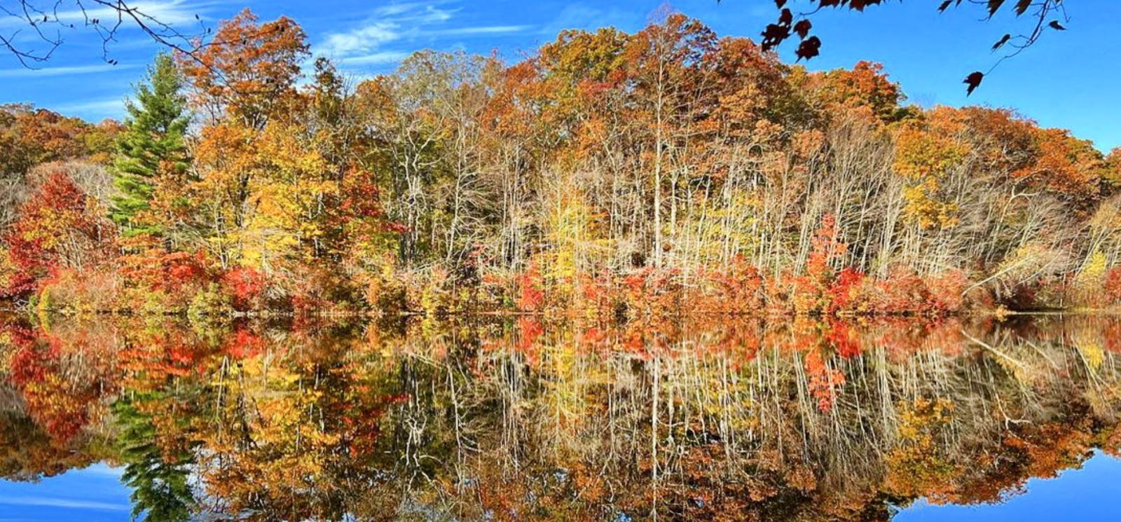 Estanque que refleja árboles de otoño y cielo azul (Instagram@jrstclair)