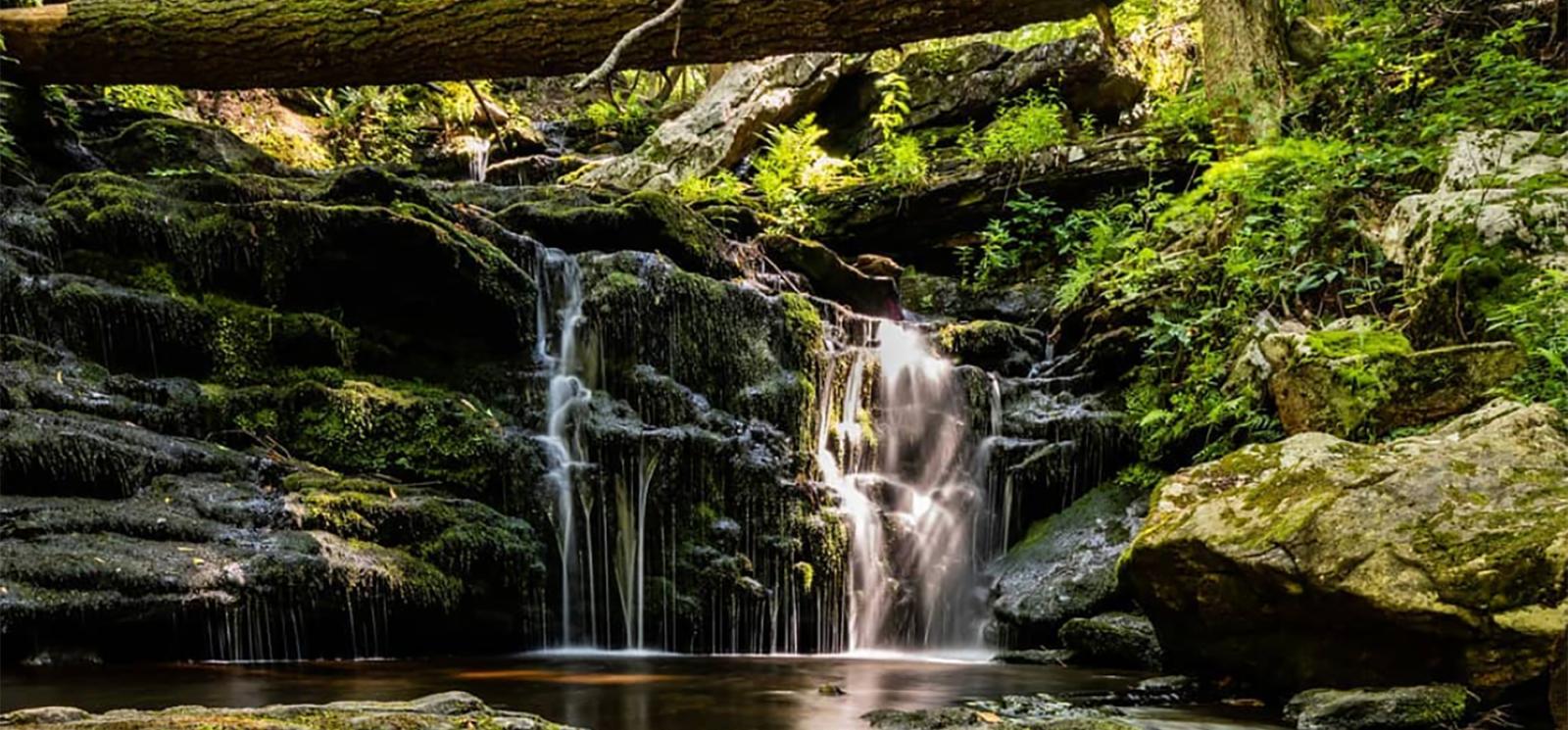 A running waterfall in the woods (Instagram@zachyeammans)
