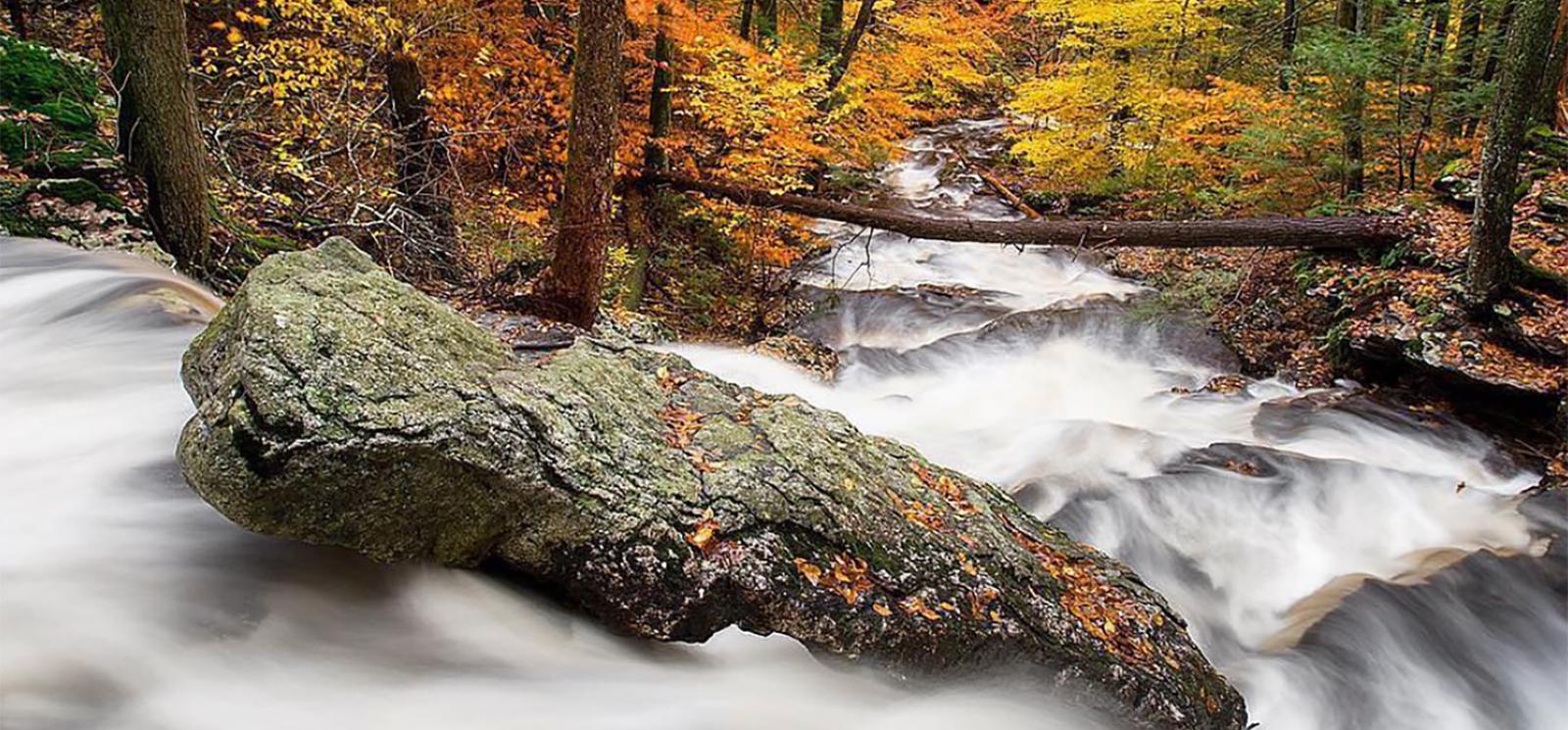 A rushing waterfall in the woods in fall (Instagram@nature_brilliance)