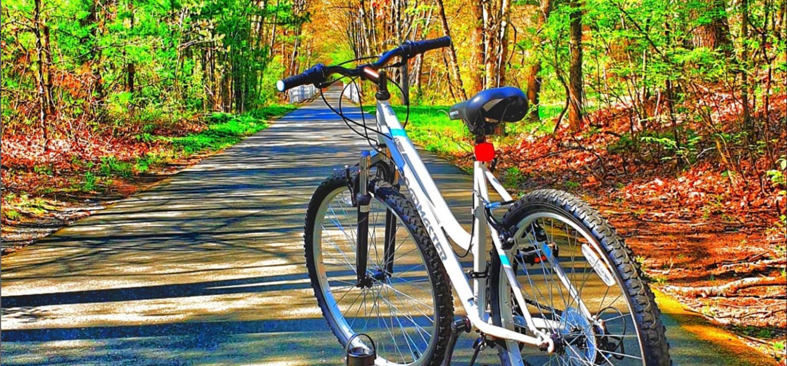 A bike parked on bike path in the woods (Instagram@linda_tedela)