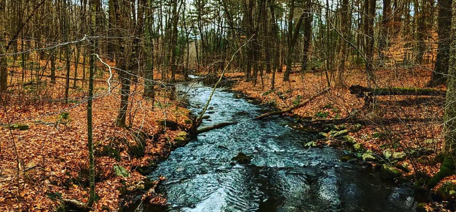 A river in the woods in the fall (Instagram@mikelphotoz)
