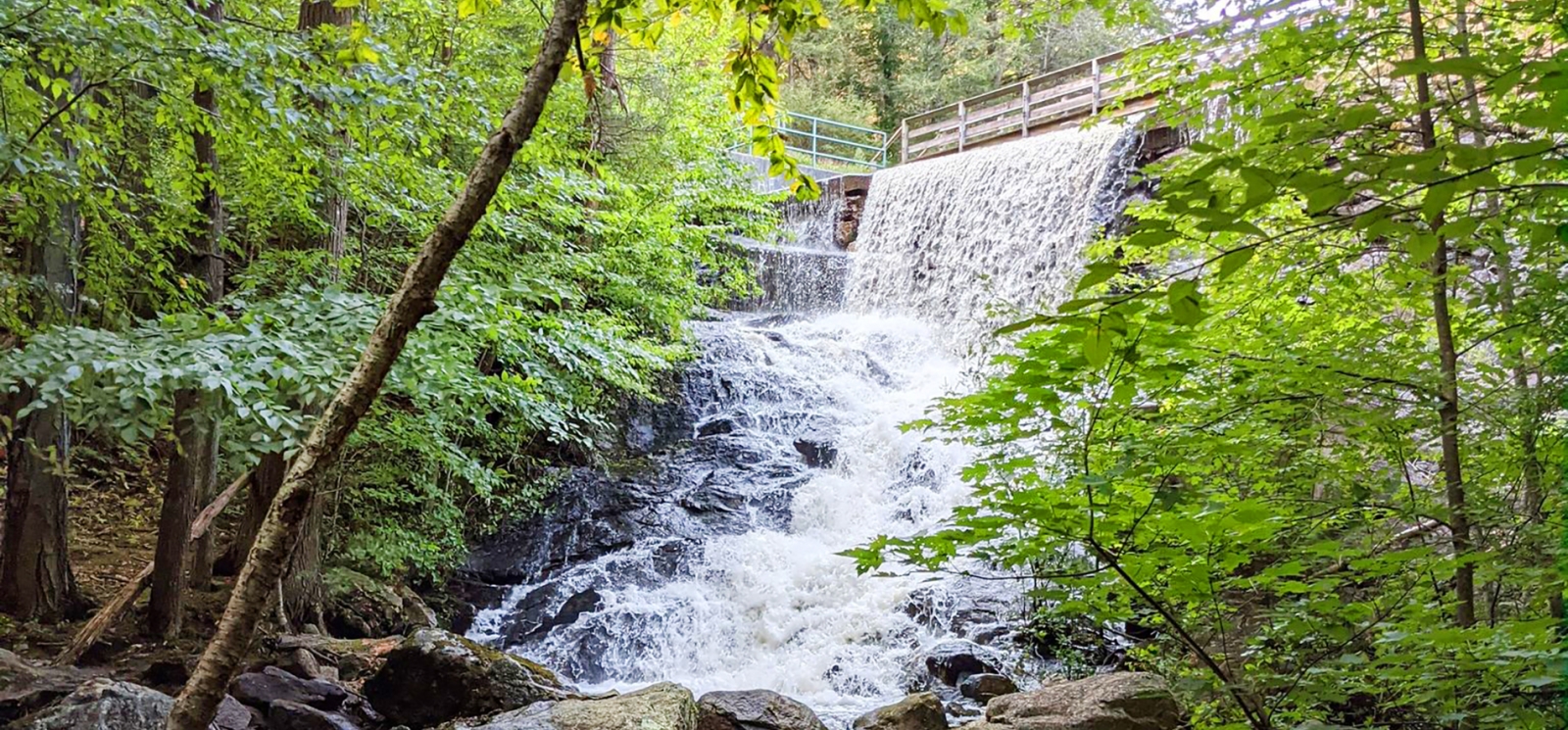 Una cascada en el bosque