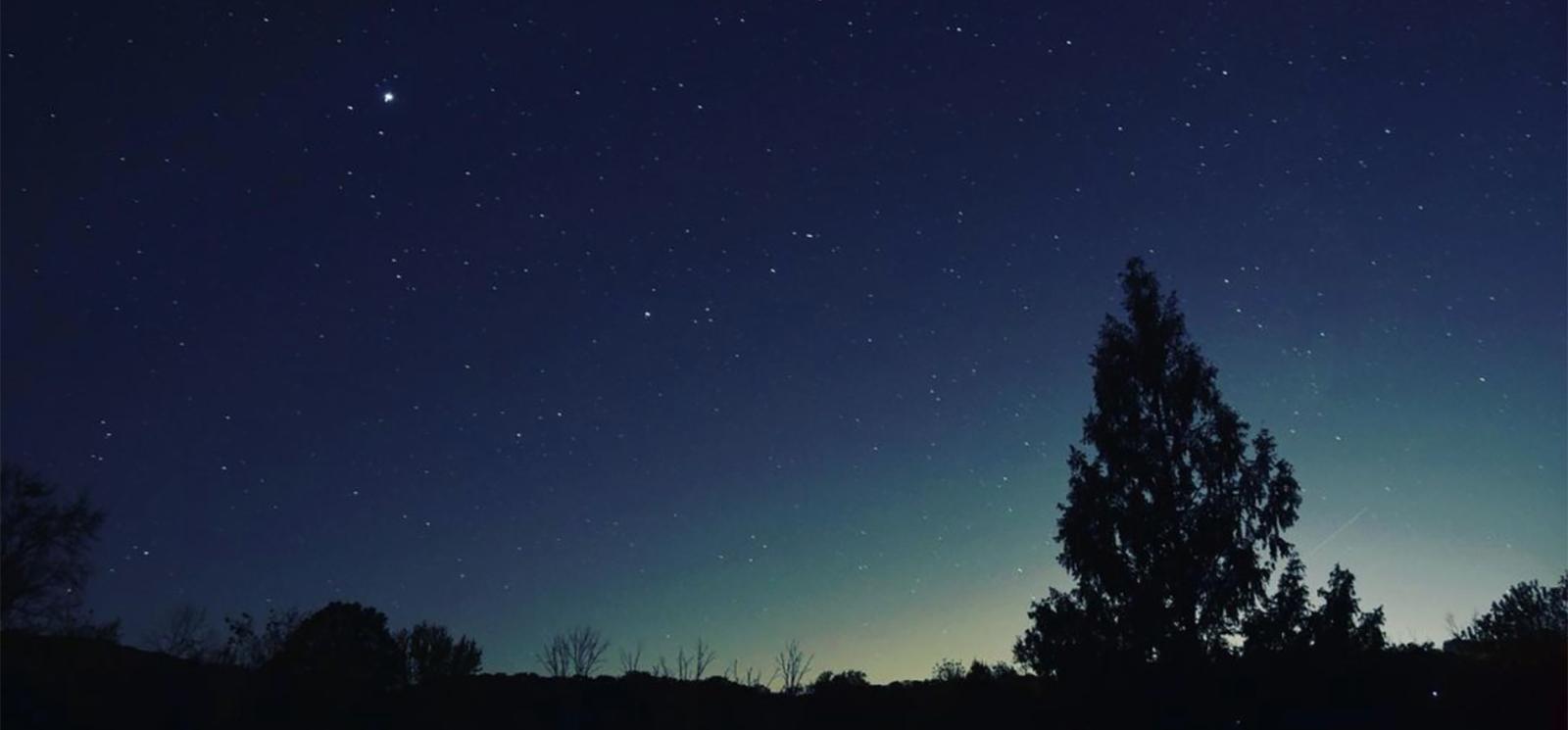 A silhouette of trees with dark starry sky (Instagram@chefdickspix)