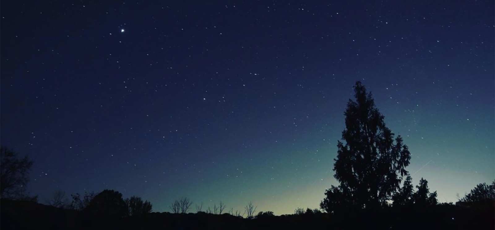 Una silueta de árboles con un cielo estrellado oscuro (Instagram@chefdickspix)