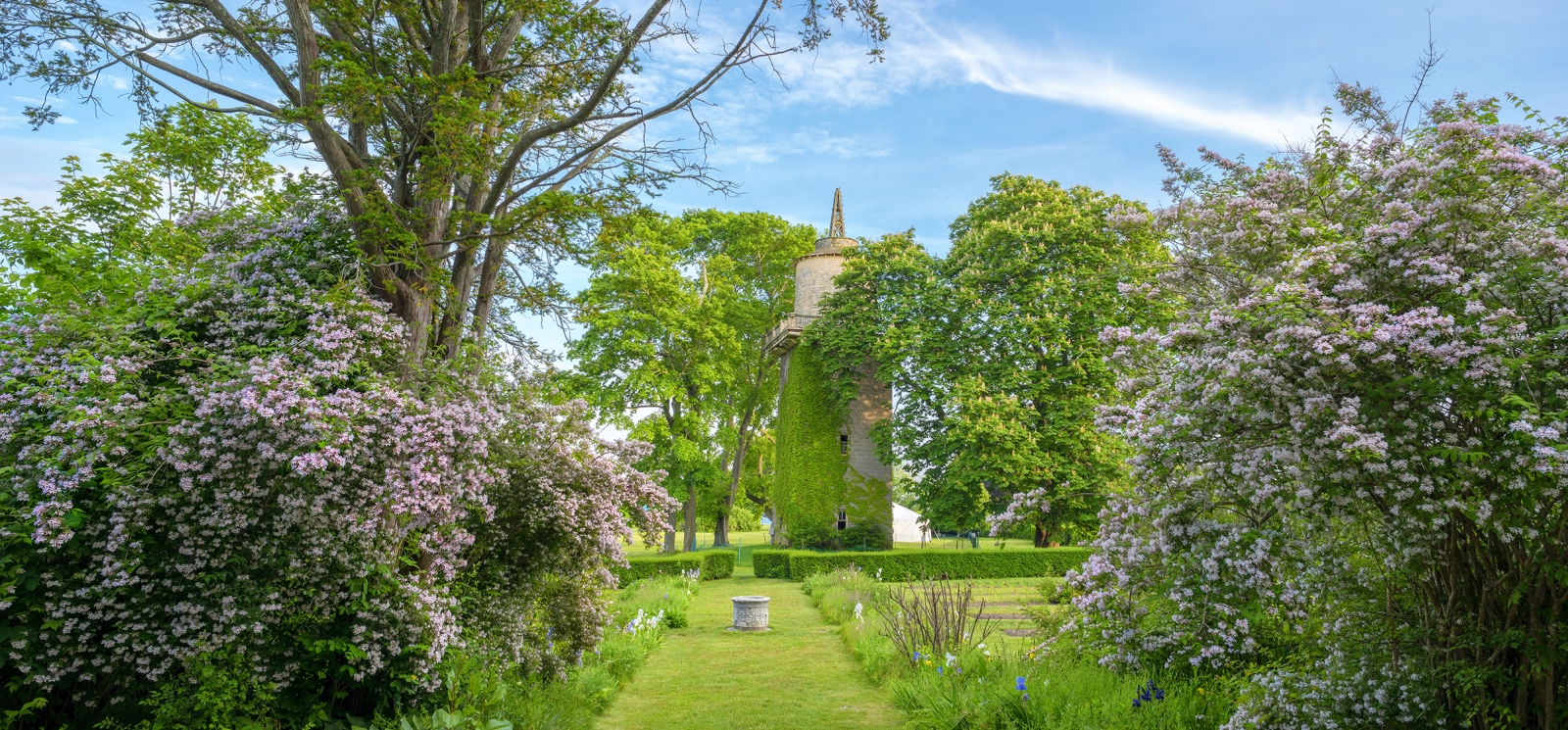 Harkness Memorial Park tower in full bloom