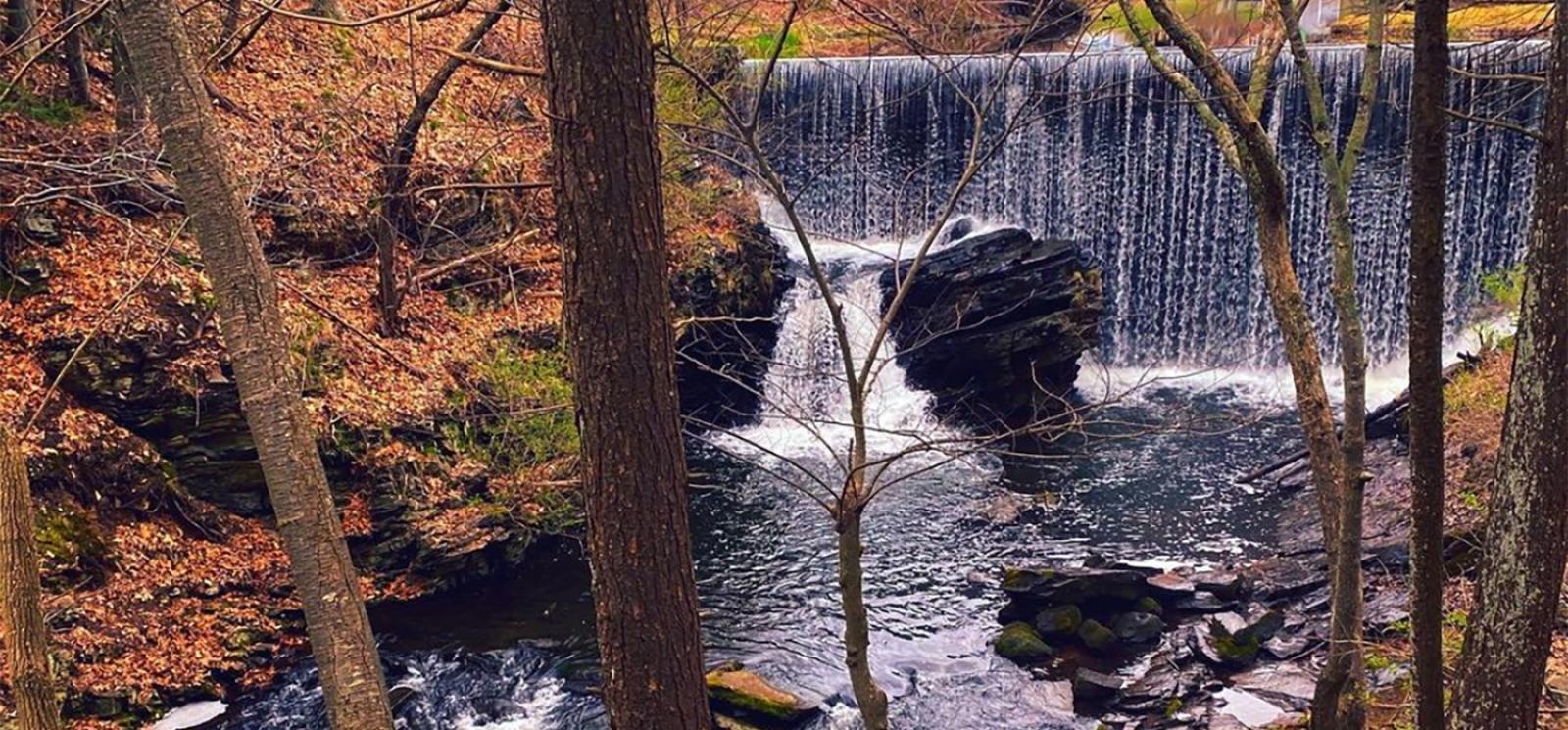 A waterfall in the woods near a bridge (Instagram@deppinlove)