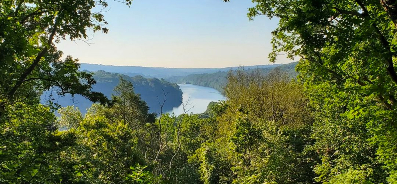 Una vista panorámica del río y los árboles (Instagram@ess_rich)