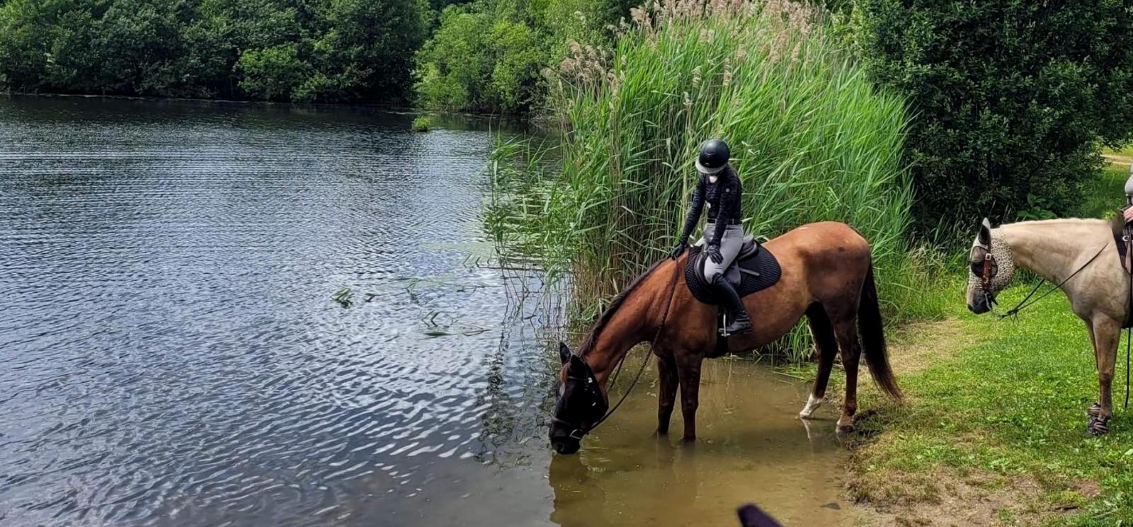 Un caballo con jinete, bebe agua a la orilla del río (Instagram@ayrebeareq)