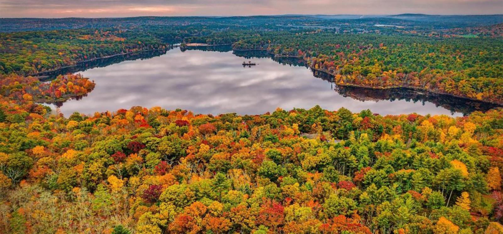 An aerial view of fall trees and lake (Instagram@miltonlevin)