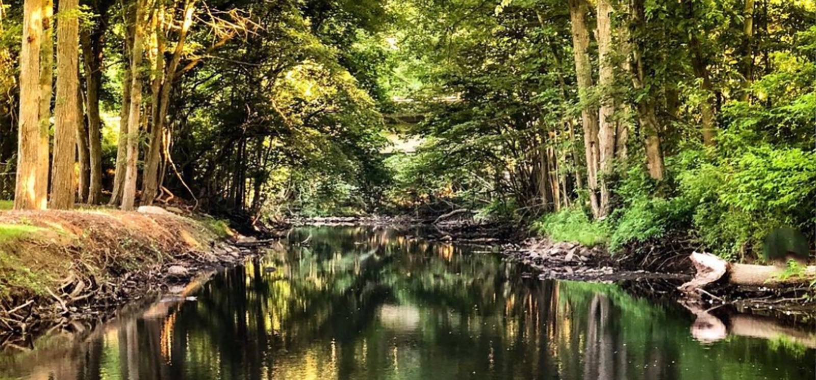 A view down a river in the woods (Instagram@upstreamflyfisherman)