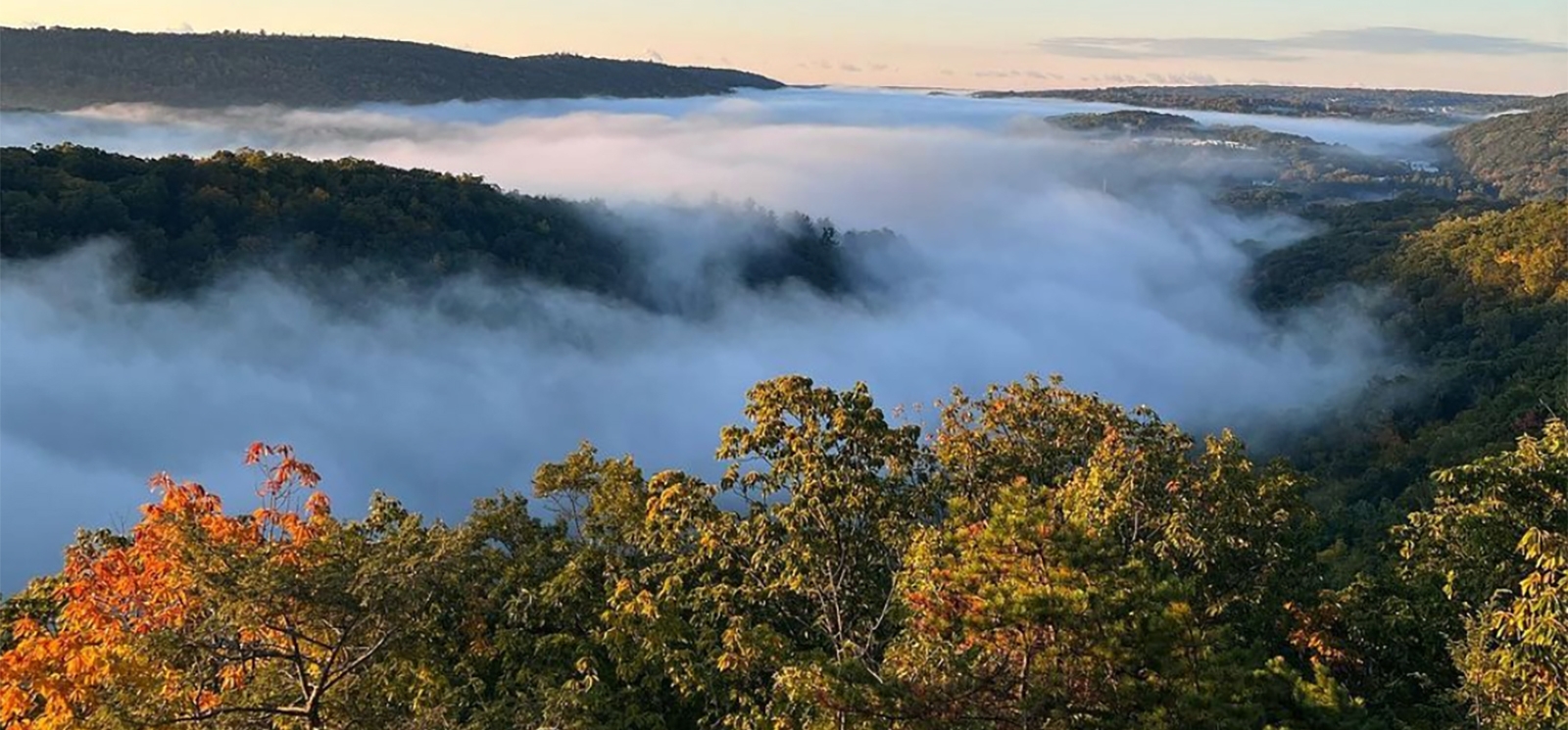 An aerial view of fog over autumn trees (Instagram@jizzo01)